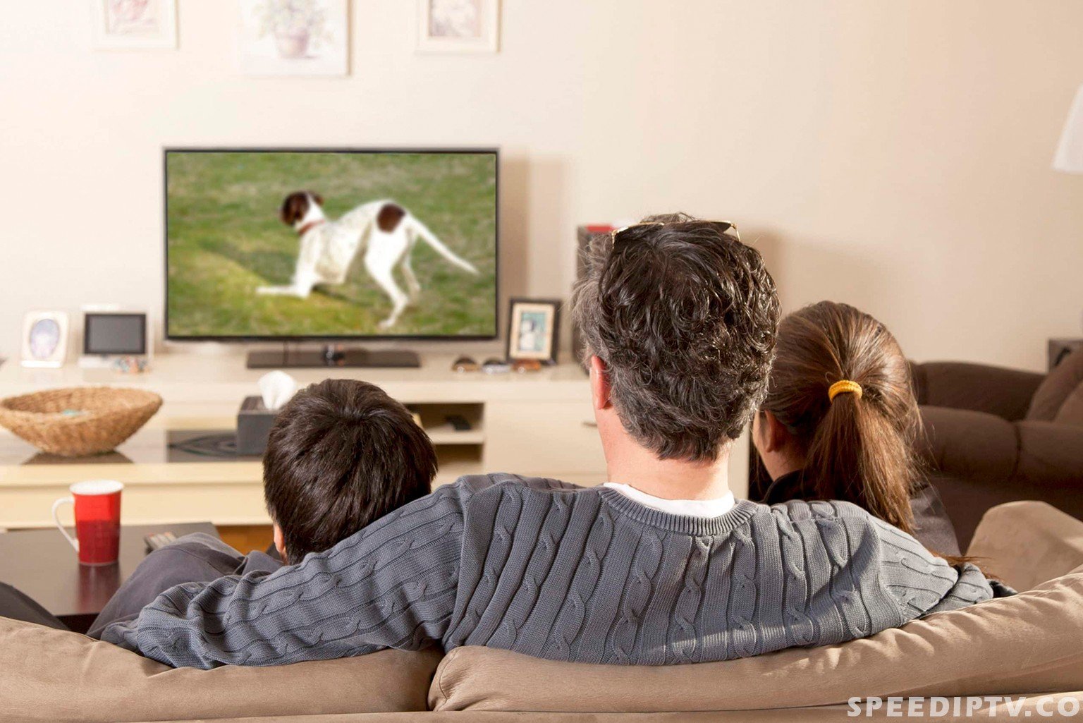 How To Improve Iptv Quality